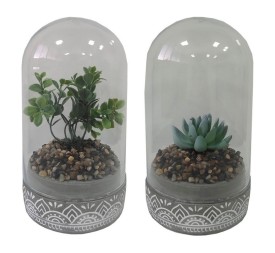 PLANTA PE CRISTAL 12X12X18 2 SURTIDO