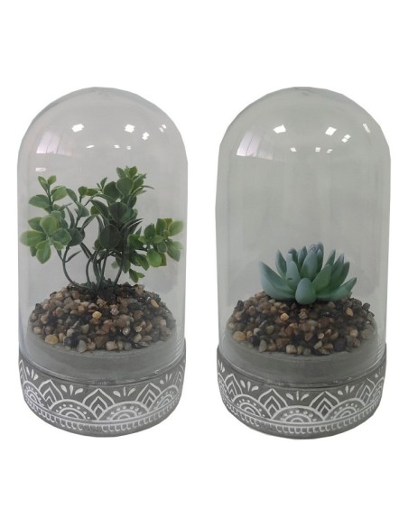 PLANTA PE CRISTAL 12X12X18 2 SURTIDO