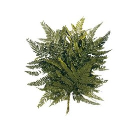 HELECHO CUERO PRESS 40 cms. VERDE (67)
