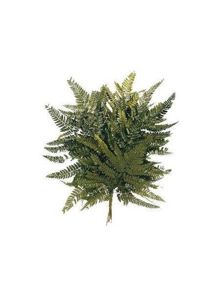 HELECHO CUERO PRESS 40 cms. VERDE (67)