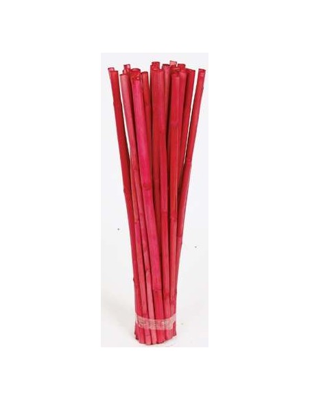 CANNA STICK 40 cms. x 1 cms. (0443)