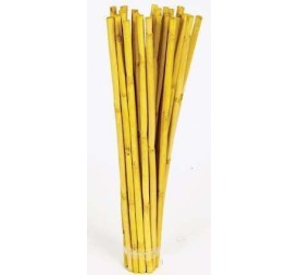 CANNA STICK 40 cms. x 1 cms. (7744)
