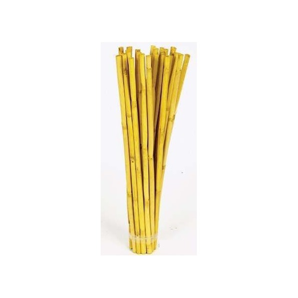 CANNA STICK 40 cms. x 1 cms. (7744)