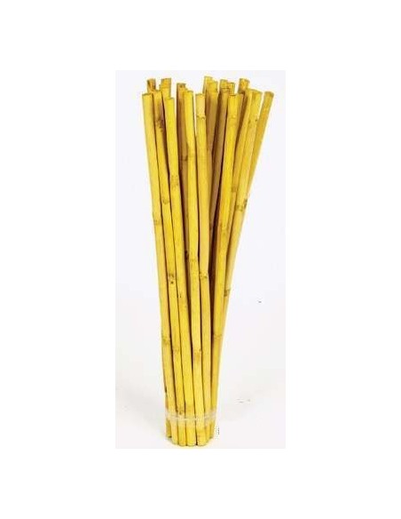 CANNA STICK 40 cms. x 1 cms. (7744)