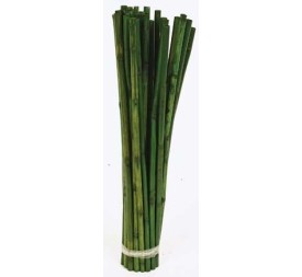 CANNA STICK 40 cms. x 1 cms. (7775)