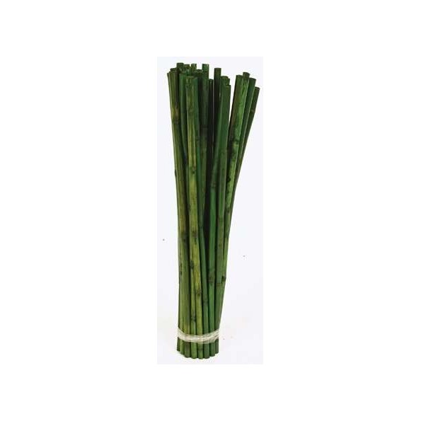 CANNA STICK 40 cms. x 1 cms. (7775)