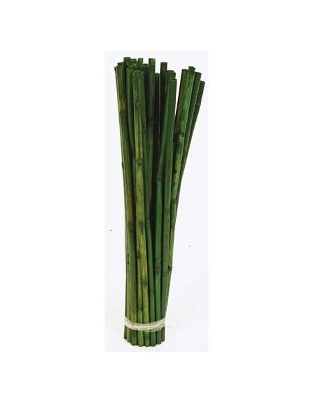 CANNA STICK 40 cms. x 1 cms. (7775)