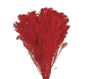BROOMS PRESS 50 cms. ROJO (P54)