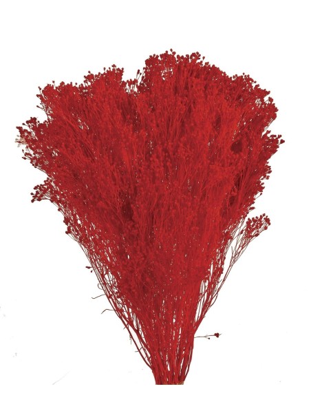 BROOMS PRESS 50 cms. ROJO (P54)