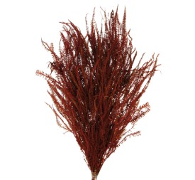 HELECHO x3 PRESS 60/80 cms. MARRON (36)