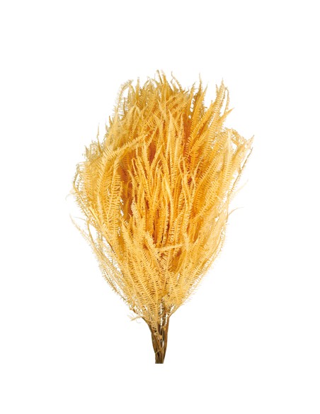 HELECHO x3 PRESS 60/80 cms. AMARILLO (F10)