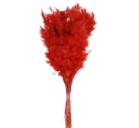###PLUMINHA 60 cms. ROJO (54)