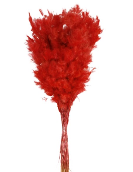 ###PLUMINHA 60 cms. ROJO (54)