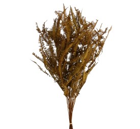 HELECHO SILVESTRE PRESS 45 cms. NATURAL (01)