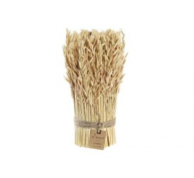 BOUQUET FLOR SECA 12X12X30 AVENA BEIGE