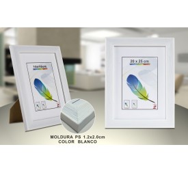 PORTAFOTO PLASTICO PS-612 20X25CM(12/24)