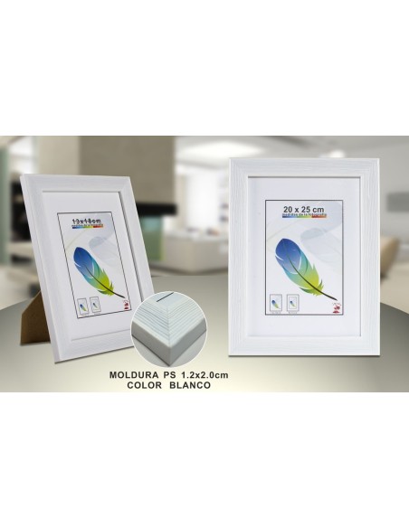 PORTAFOTO PLASTICO PS-612 20X25CM(12/24)