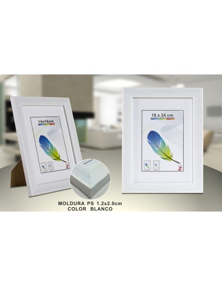 PORTAFOTO PLASTICO PS-612 18X24CM(12/24)