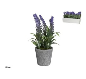 MACETA LAVANDA 21 CM