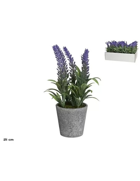 MACETA LAVANDA 21 CM