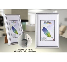 PORTAFOTO PLATA PVC-601 20*25CM(12/24)