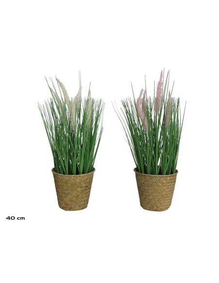 MACETA ALGAS GRASS CON FOXTAIL 40 CM