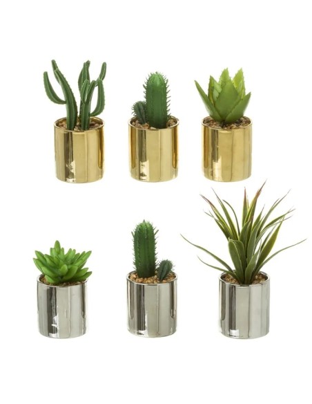 CACTUS 6/M PLÁSTICO 6 X 6 X 16 CM