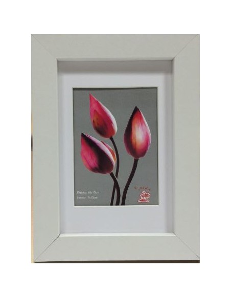 PORTAFOTO MADERA 13X18CM DM-810 (12/36)