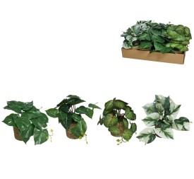 MACETA ALGAS CON PLANTAS SURT (B)-25 CM