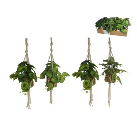 MACETA COLGAR ALGAS PLANTAS SURT A-55 CM