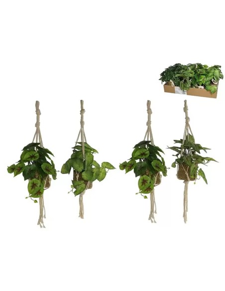 MACETA COLGAR ALGAS PLANTAS SURT A-55 CM