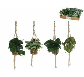 MACETA COLGAR ALGAS PLANTAS SURT B-55 CM