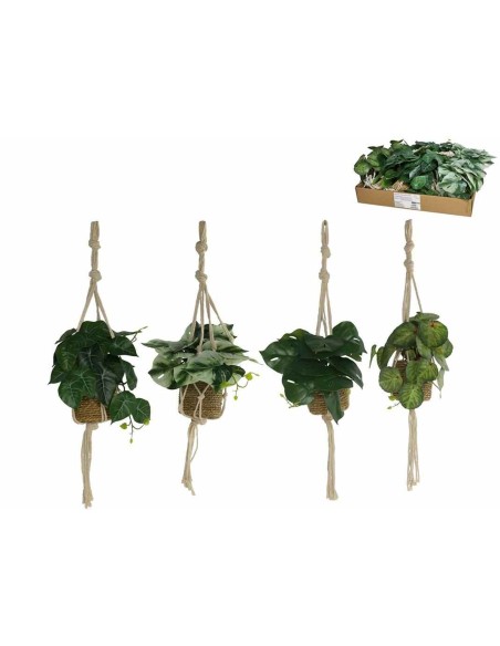 MACETA COLGAR ALGAS PLANTAS SURT B-55 CM