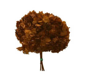 HORTENSIA PRESS.NARANJA OSCURO (36)