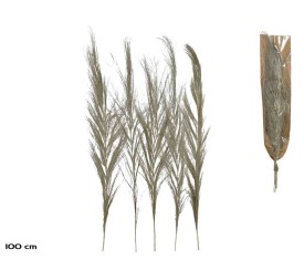 FLOR SECA DECORATIVA NATURAL 5PCS