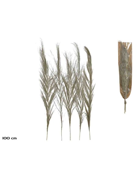 FLOR SECA DECORATIVA NATURAL 5PCS