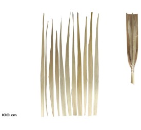 HOJA PALMA NATURAL 12PCS