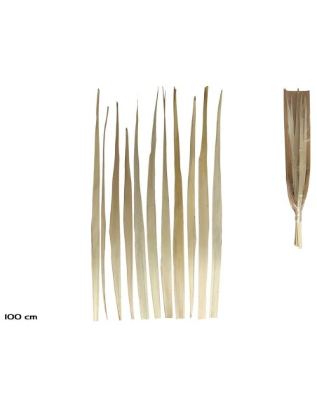 HOJA PALMA NATURAL 12PCS