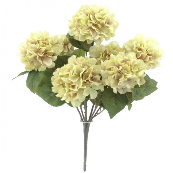 MATA HYDRANGEA X 7, 54 CMS-& MOSTAZA (6457-34)