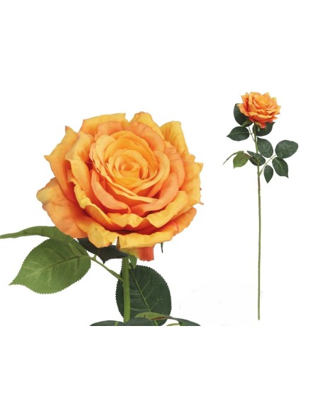 VARA ROSA QUEEN-78 CM (SALMO