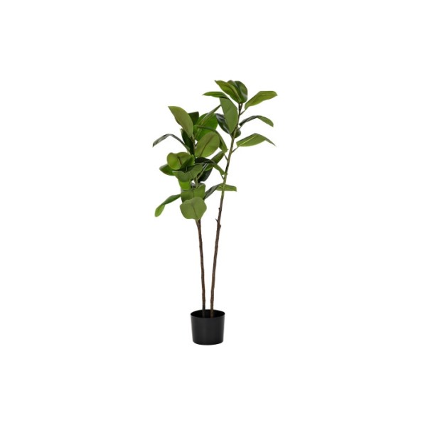 PLANTA PE 30X30X139 VERDE