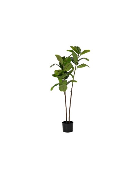 PLANTA PE 30X30X139 VERDE