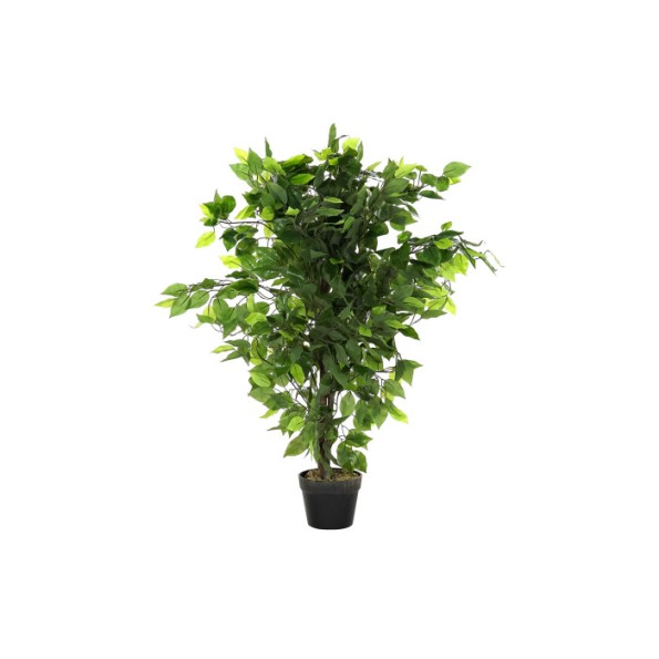 PLANTA PE 50X50X90 FICUS VERDE