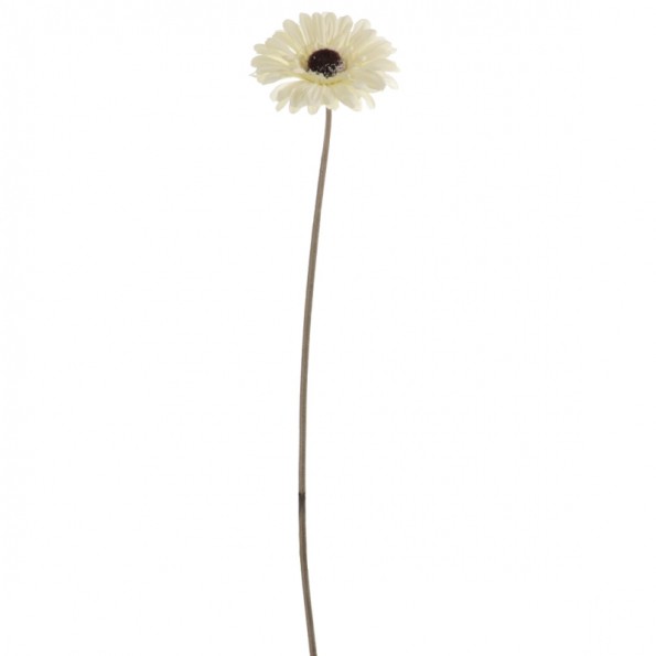 GERBERA (6844-01)