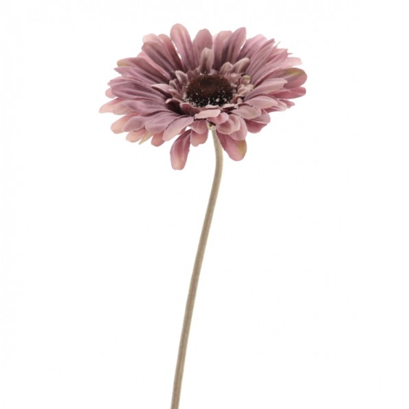 GERBERA (6844-06)