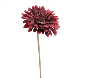 GERBERA (6844-17)