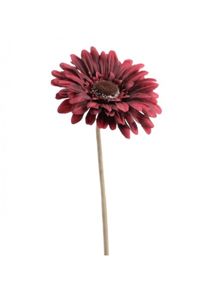 GERBERA (6844-17)