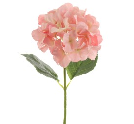 HORTENSIA (2343-12)
