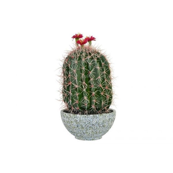 PLANTA PVC CEMENTO 19X19X40 CACTUS