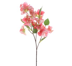 BOUGANVILLEA (6253-24)